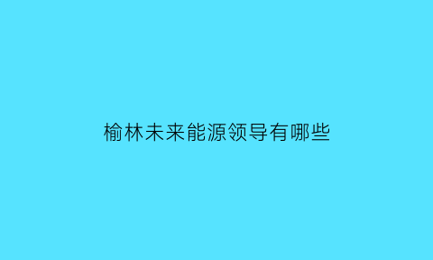 榆林未来能源领导有哪些