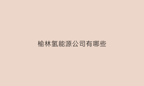 榆林氢能源公司有哪些