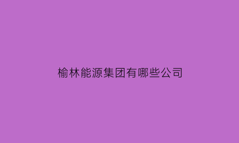 榆林能源集团有哪些公司