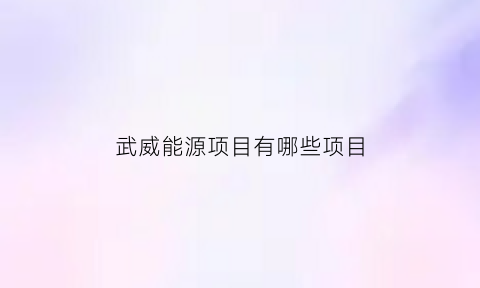 武威能源项目有哪些项目(武威能源公司)