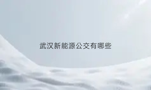 武汉新能源公交有哪些