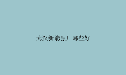 武汉新能源厂哪些好(武汉做新能源的公司)