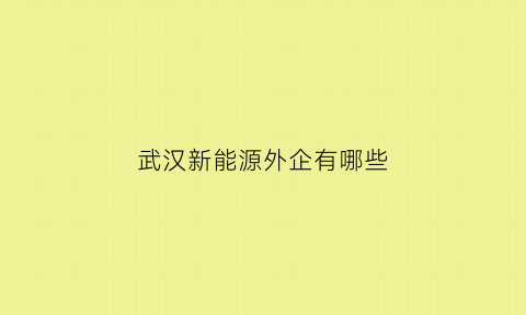 武汉新能源外企有哪些(武汉新能源有限公司是国企吗)