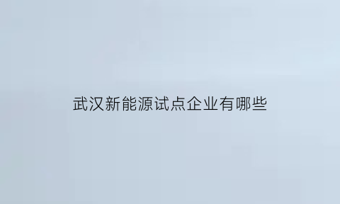 武汉新能源试点企业有哪些