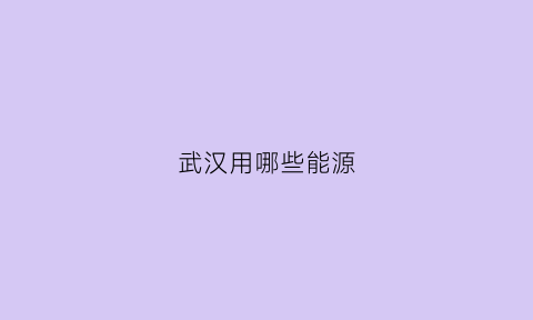 武汉用哪些能源(武汉有哪些能源公司)