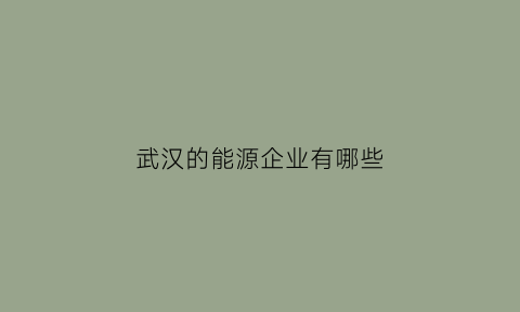 武汉的能源企业有哪些