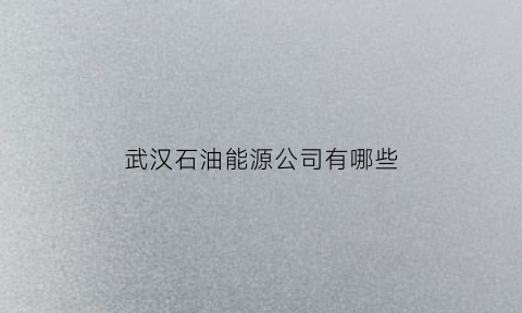 武汉石油能源公司有哪些