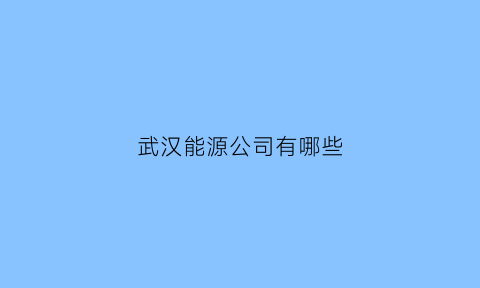 武汉能源公司有哪些