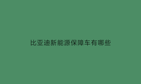 比亚迪新能源保障车有哪些