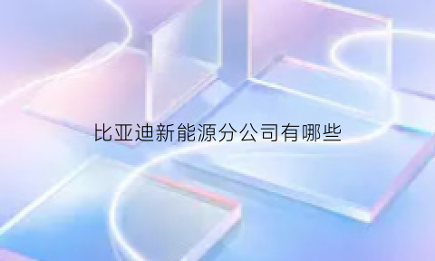 比亚迪新能源分公司有哪些