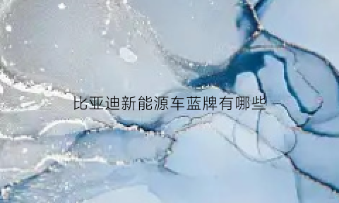 比亚迪新能源车蓝牌有哪些