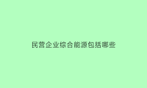 民营企业综合能源包括哪些