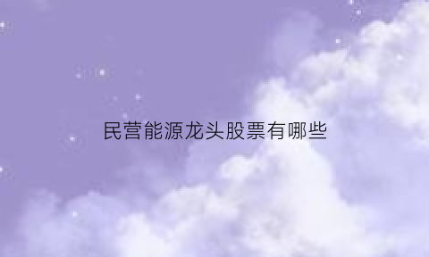 民营能源龙头股票有哪些(民营能源龙头股票有哪些公司)