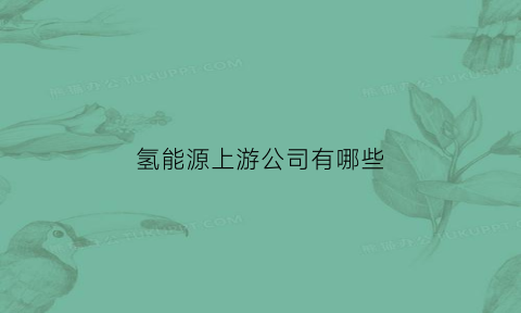 氢能源上游公司有哪些(氢能源上游公司有哪些股票)