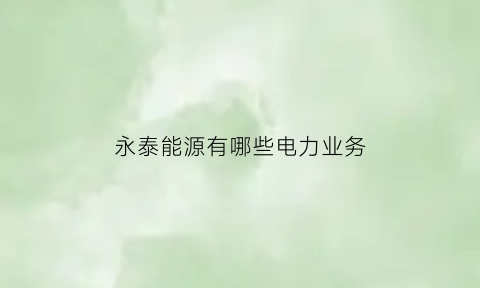 永泰能源有哪些电力业务