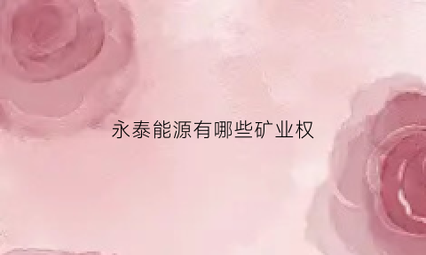 永泰能源有哪些矿业权