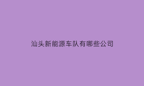 汕头新能源车队有哪些公司