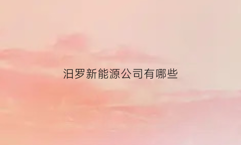 汨罗新能源公司有哪些