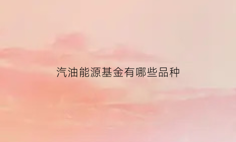 汽油能源基金有哪些品种