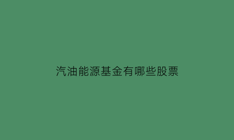 汽油能源基金有哪些股票