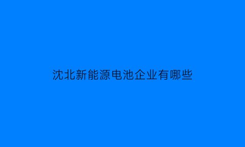 沈北新能源电池企业有哪些