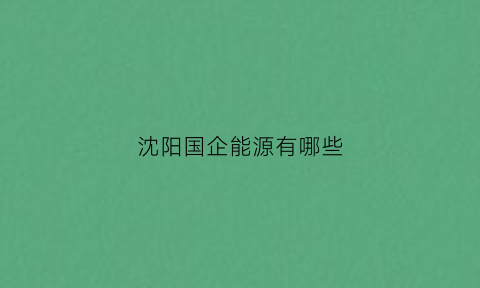 沈阳国企能源有哪些(沈阳的能源公司)