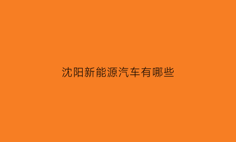 沈阳新能源汽车有哪些