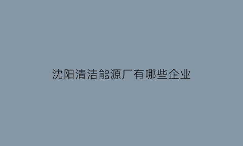 沈阳清洁能源厂有哪些企业(沈阳清能院清洁能源有限公司)