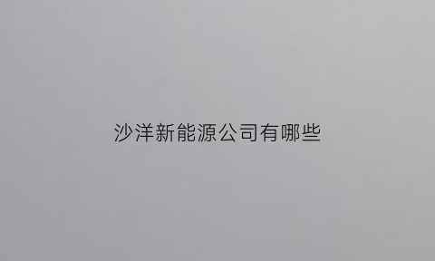 沙洋新能源公司有哪些