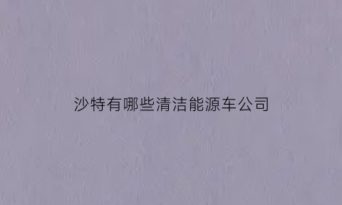 沙特有哪些清洁能源车公司