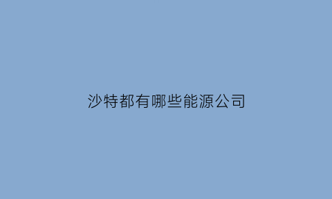 沙特都有哪些能源公司