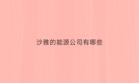 沙雅的能源公司有哪些