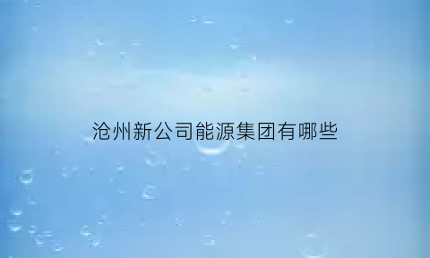 沧州新公司能源集团有哪些