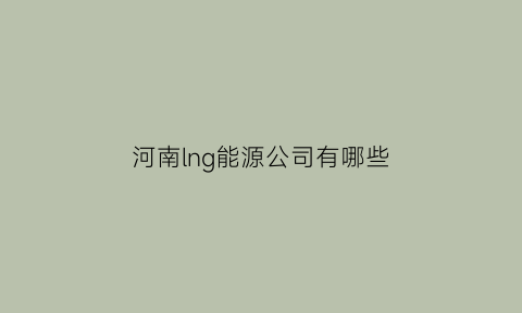 河南lng能源公司有哪些