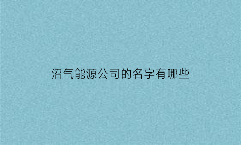 沼气能源公司的名字有哪些