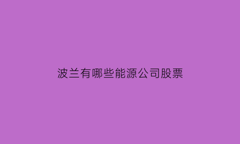 波兰有哪些能源公司股票(波兰有哪些能源公司股票代码)