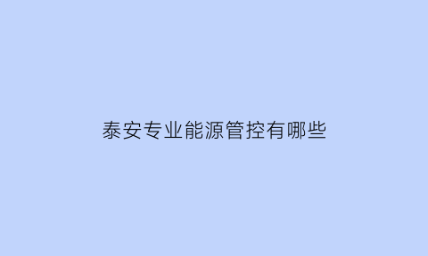 泰安专业能源管控有哪些