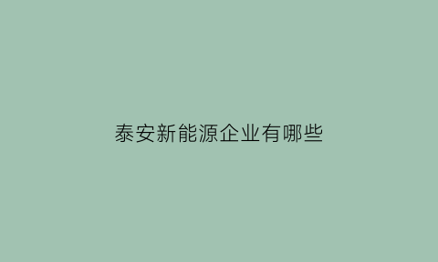 泰安新能源企业有哪些(泰安电动汽车能源公司)