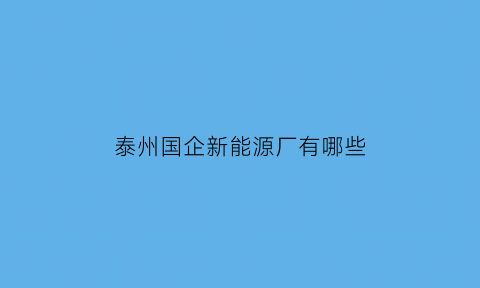 泰州国企新能源厂有哪些(泰州新能源企业)