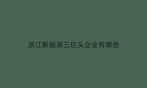 浙江新能源三巨头企业有哪些