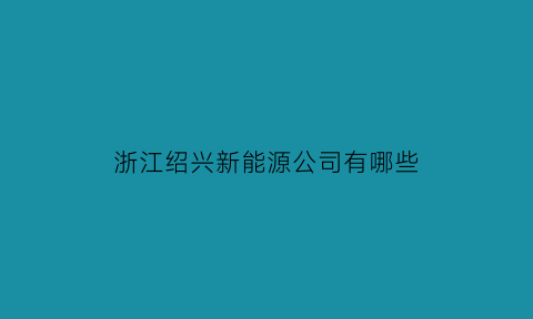 浙江绍兴新能源公司有哪些