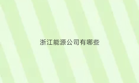 浙江能源公司有哪些