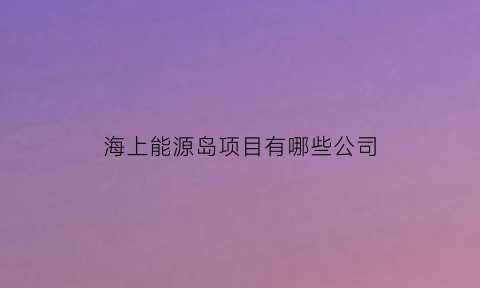 海上能源岛项目有哪些公司