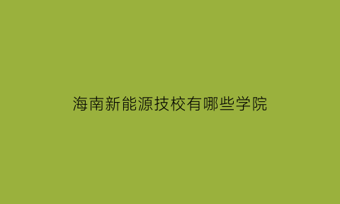 海南新能源技校有哪些学院(海南新能源股份有限公司)