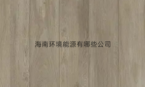 海南环境能源有哪些公司