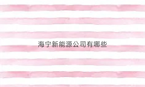 海宁新能源公司有哪些