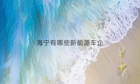 海宁有哪些新能源车企(海宁新能源公司)