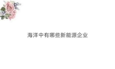 海洋中有哪些新能源企业