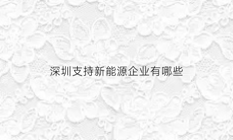 深圳支持新能源企业有哪些