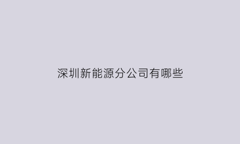 深圳新能源分公司有哪些